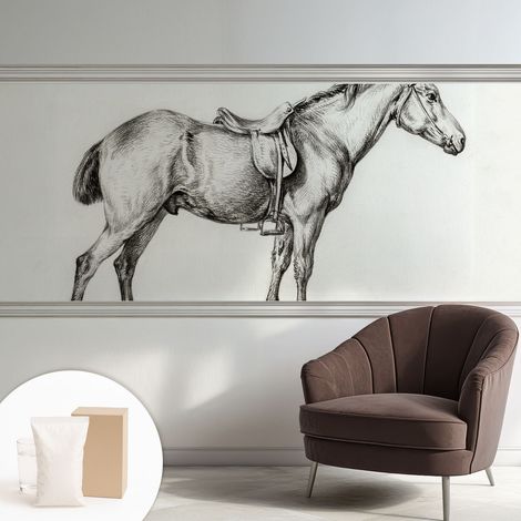 Papier peint intissé décoratif avec colle pour salon chambre et bureau Installation rapide Esquisse de cheval 250x104 cm (1/5)
