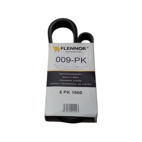 6pk1660 cinghia poly-v alternatore servizi marca flennor (1/5)