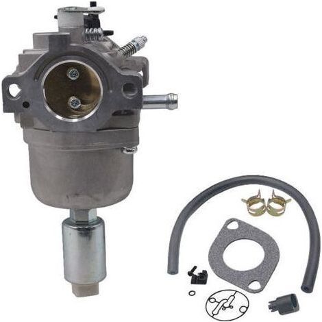 Carburateur pour Moteurs Briggs & Stratton 287707 287776 287777 310707 310777 698620 690194 791886 799727 496796 499153 695412 792768 Remplacement du carburateur (1/5)