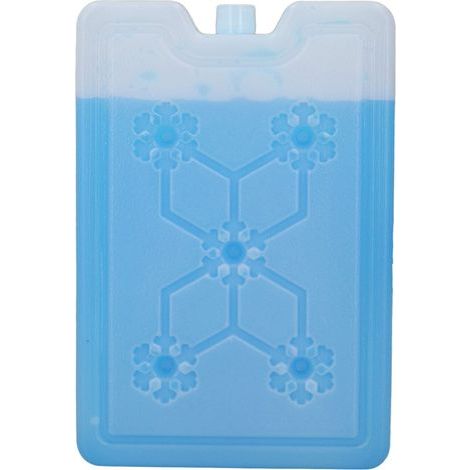 Glacière de voyage portable pour pique-nique et camping, boîte réfrigérante réutilisable avec pack de glace 600ML