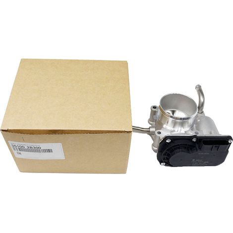 351002B300 est une soupape de corps de papillon pour la Hyundai Veloster et la Kia Rio Soul 1.6L.