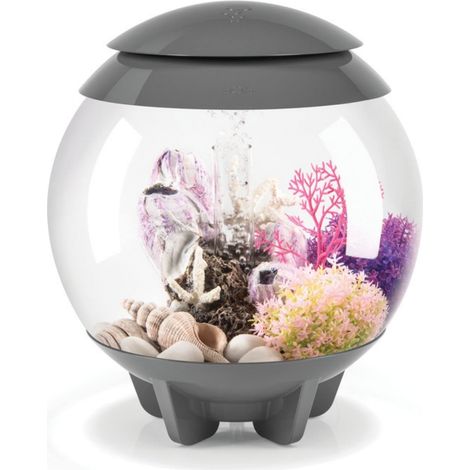 Aquarium en Acrylique, Gris, télécommande MCR Multicolore, avec Ligne d'eau cachée, Filtration en 5 étapes, Installation Facile, avec Pompe à air (1/3)