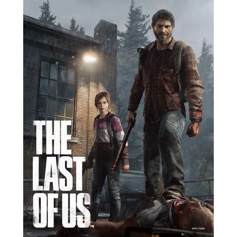 Cuadro 3D The Last of Us