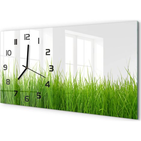 Horloge Murale XXL 60x30 cm Design Moderne en Verre Trempé Salon Salle à Manger Herbe (1/5)
