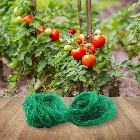 Filet d'escalade de jardin en nylon pour soutenir les plantes, cadre (1/5)