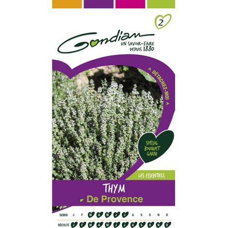 Gondian - Thym de Provence