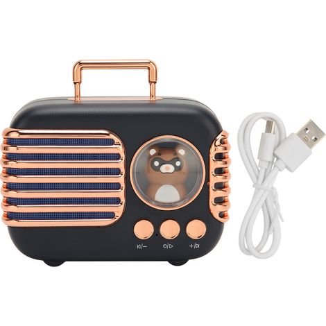 Enceinte Bluetooth 5.0 5W Stéréo, Haut-parleur Portable Mini Sans Fil Noir avec Lecteur Carte Mémoire pour MP3, Téléphones, Ordinateurs Portables (1/5)
