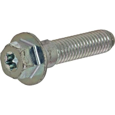 Vis BRIGGS ET STRATTON 793458 (1/2)