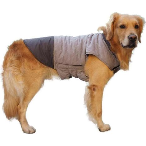 Hundebekleidung für Herbst und Winter, wendbar (1/5)