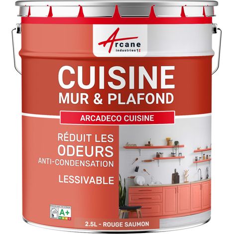 Peinture cuisine, lessivable, absorbe les odeurs - 2.5 L Rouge saumon - RAL 3022 - ARCANE INDUSTRIES