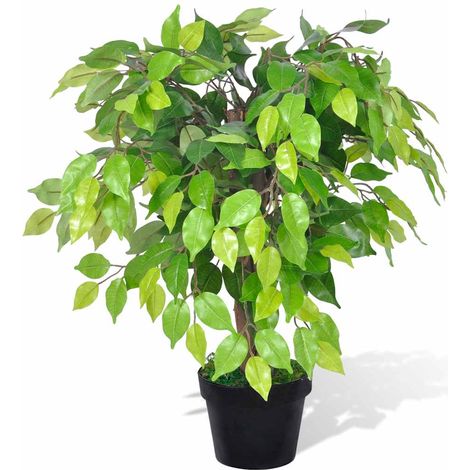 vidaXL Planta enana artificial de ficus en maceta, 60 cm (1/2)