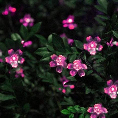 HFJKFW-Guirlandes Solaires de Jardin Extérieur 7m 50LED Flower Solar String Lights Blossom Éclairage Solaire étanche (Rose)[627] (1/4)