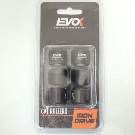 Variomatik-Rolle EVOK für Roller Piaggio 50 ZIP 2T AC 2009 bis (1/4)
