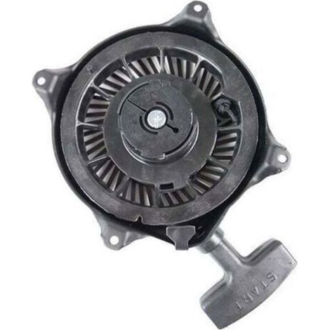 Lanceur moteur Briggs et Stratton (1/4)