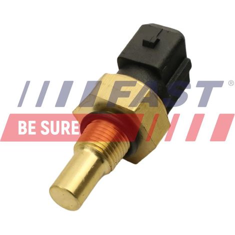 Sensore rapido di temperatura dell'acqua FT80161 (1/3)