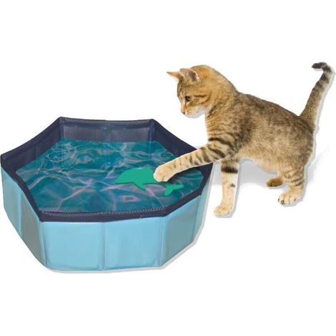 Faltbarer Planschpool aus Kunststoff mit schwimmendem Spielzeug für Katzen (1/5)