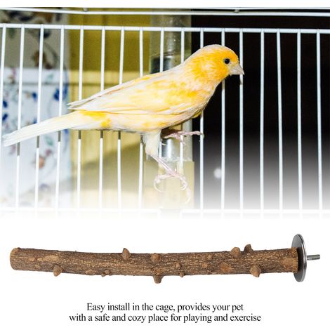Support en bois naturel pour perroquet, perchoir à mâcher pour les pattes, jouet à suspendre pour cage (3 x 35 cm) (1/5)