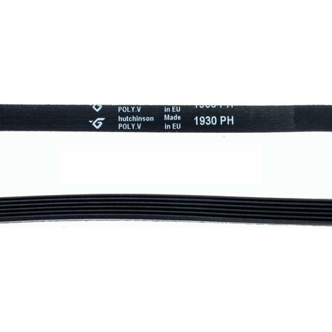 Courroie 1930H6 (101889-22502) (481281728292) Sèche-linge CANDY, HOOVER, BOSCH, ARISTON HOTPOINT, BRANDT, SIEMENS, THOMSON, INDE (1/2)