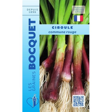 Ciboule commune rouge - 1g