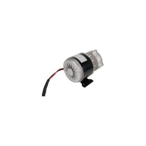 Moteur électrique à réduction de vitesse 12V 250W Couple 0,80 N.m Vitesse 2950 tr/min Compatible scooter et vélo électrique