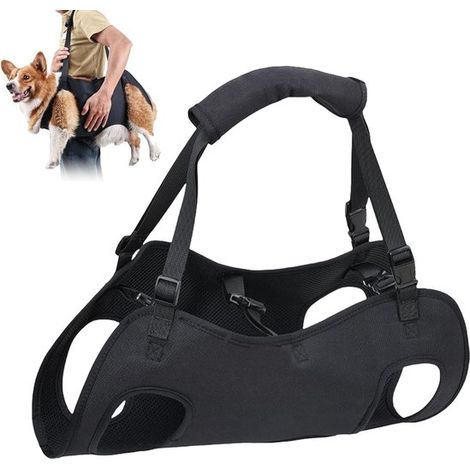 Grand Sac de Transport pour Chien Taille L - Cage de Transport Souple Portable pour Chien Moyen et Grand pour Voiture Avion et Voyage (1/5)
