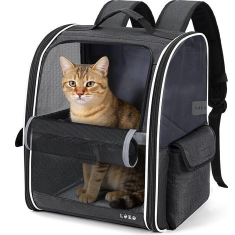 Sac à Dos pour Chiens Chats de Taille Moyenne/Petite (2 à 5 kg), Sac à Dos Chat Respirant Pliable, Sacs Transport Dos Chats avec Fenêtre en Maille pour Randonnée Voyages l'extérieur, Noir (1/5)