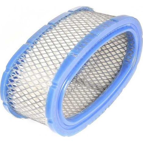 Filtre à air pour moteur Briggs & Stratton 393406 (1/5)