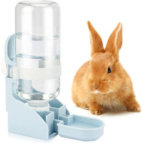 Distributeur d’eau suspendu 500 ml pour lapin et cobaye, abreuvoir automatique pour furets et hérissons (1/5)