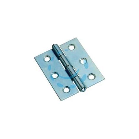 CERNIERE MEZZE LARGHE PESANTI CON PERNO FISSO ART.838 - mm.100x70x1,8 spess.
