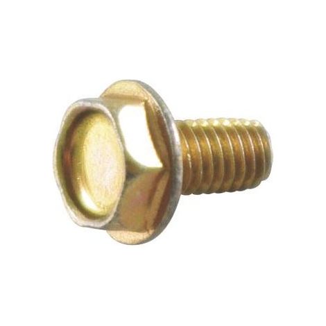 691693 - Vis Auto-taraudeuse pour moteur BRIGGS et STRATTON