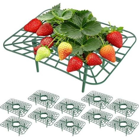 10 Pièces Support Fraisier, Support Fraise Jardin Plastique Réutilisable, Tuteur Fraisier 4 Pieds Stables, Anti-Limaces Moisissure (1/5)