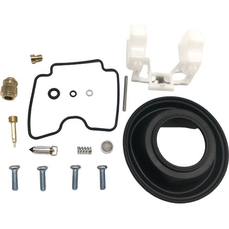 Kit orf réforrtiorn ctorrburtorteur - cormptortibgivthere GSF1200 - T79 (1/4)