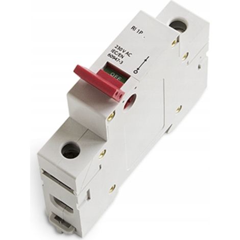 iLuve RI 40A 1P INTERRUPTEUR-DISPOSITIONNEUR 40A 1Z 1M 230V AC 744618
