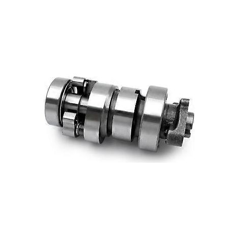 Nockenwellenbaugruppe für Motorräder 14100-K35-J000 für 125 150