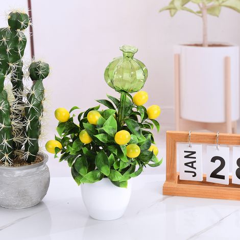 Arroseur automatique en verre forme cactus 3 pcs système d'irrigation goutte à goutte pour plantes vertes décoration jardin (1/5)