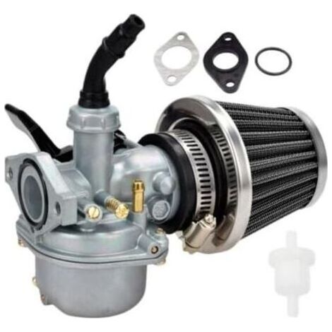Carburateur Tecumseh avec filtre à air 36356 Vanne d'arrêt et filtre à carburant inclus Conduite d'alimentation 2 pieds Modèle 640065A - OVH135 (1/4)