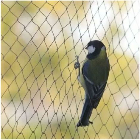 Filet anti-oiseaux, Maille 【1,51,5 cm】10 m 5 m, filet anti-oiseaux, filet de protection solide pour bassin de jardin, pour fruits, légumes