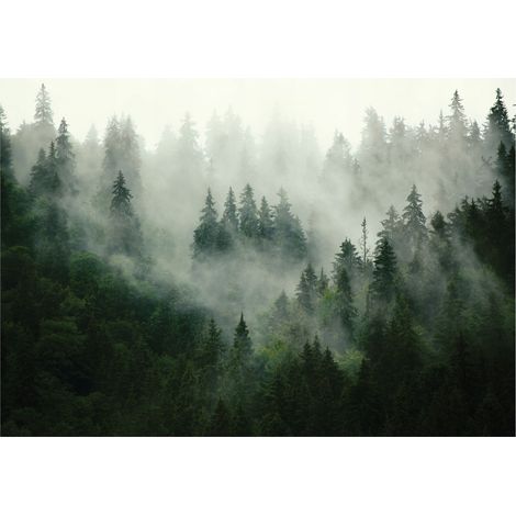 Papier peint panoramique forêt dans le brouillard, intissé, décoration murale – 400 x 280 cm Wallarena