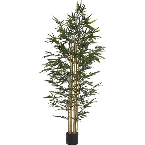 Bambuspflanze mit Topf 80X80X192 cm (1/5)