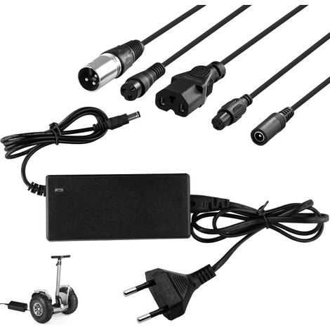 Chargeur universel pour gyropodes, trottinettes électriques et drift boards, avec 6 adaptateurs (42 V 2 A). (1/5)