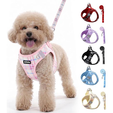Ensemble Harnais-Laisse Chien réfléchissant réglable, Rose XS (1/5)