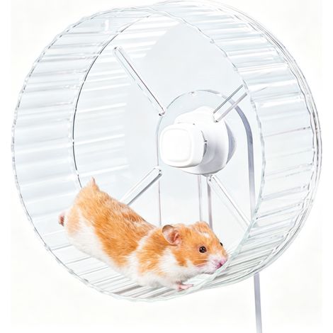 Rueda para hámster: rueda silenciosa de 21 cm para hámsteres, jerbos y ratones - Súper silenciosa, soporte ajustable, transparente (1/5)