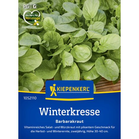 Kiepenkerl Saatgut Winterkresse Barbarakraut für ca. 500 Pflanzen