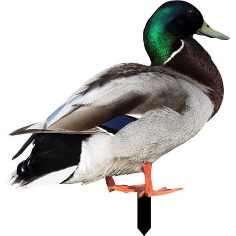 Décoration de canard Farfi réaliste et ornementale, impression recto verso, style rustique, en acrylique, pour jardin - C (1/5)