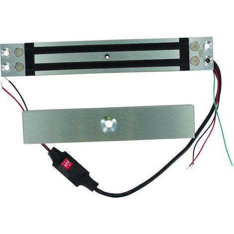 Dorma – Ventouse encastrée 300kg 12-24V – Système anti-rémanence – Contact d'état intégré – Pour environnements humides – 19860110 (1/2)