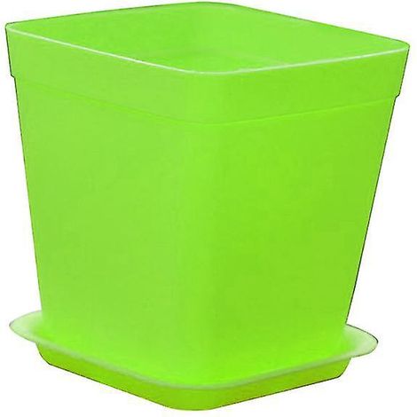 Vase für 10 Sukkulentenpflanzen (1/3)