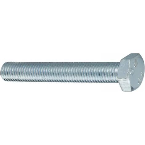 Fischer - Vite Con Testa Esagonale 8X55