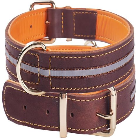 Collier pour Chien en Cuir,réfléchissant,rembourré et réglable L (1/5)
