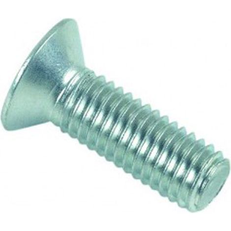 Vis métaux LENNIE tête fraisée cruciforme - Ø6x20 - boite de 200 - VMFC0602002B (1/2)