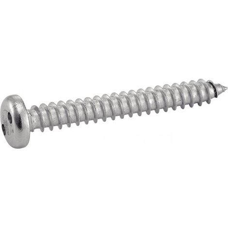 Vis à tôle tête cylindrique inviolable snake eyes inox - Longueur: 25 - Qualite Inox: A2 - Diamètre: 4.2 (1/3)
